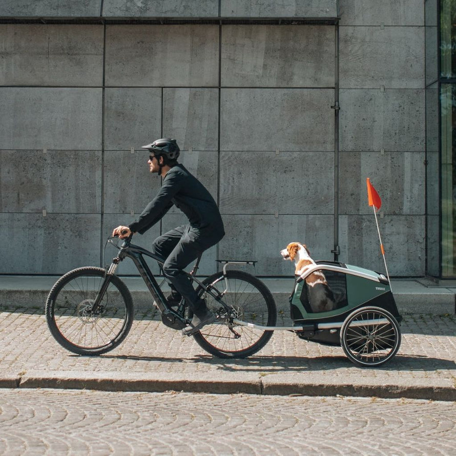 Remorque Vélo pour chien Thule Bexey M #1