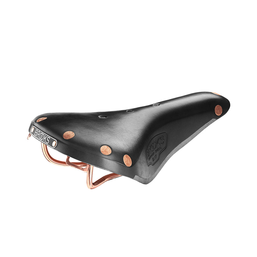 Selle Brooks B17 Special #1